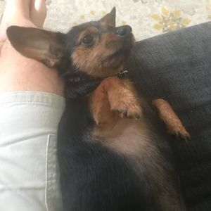 Meet your Posher, Robert